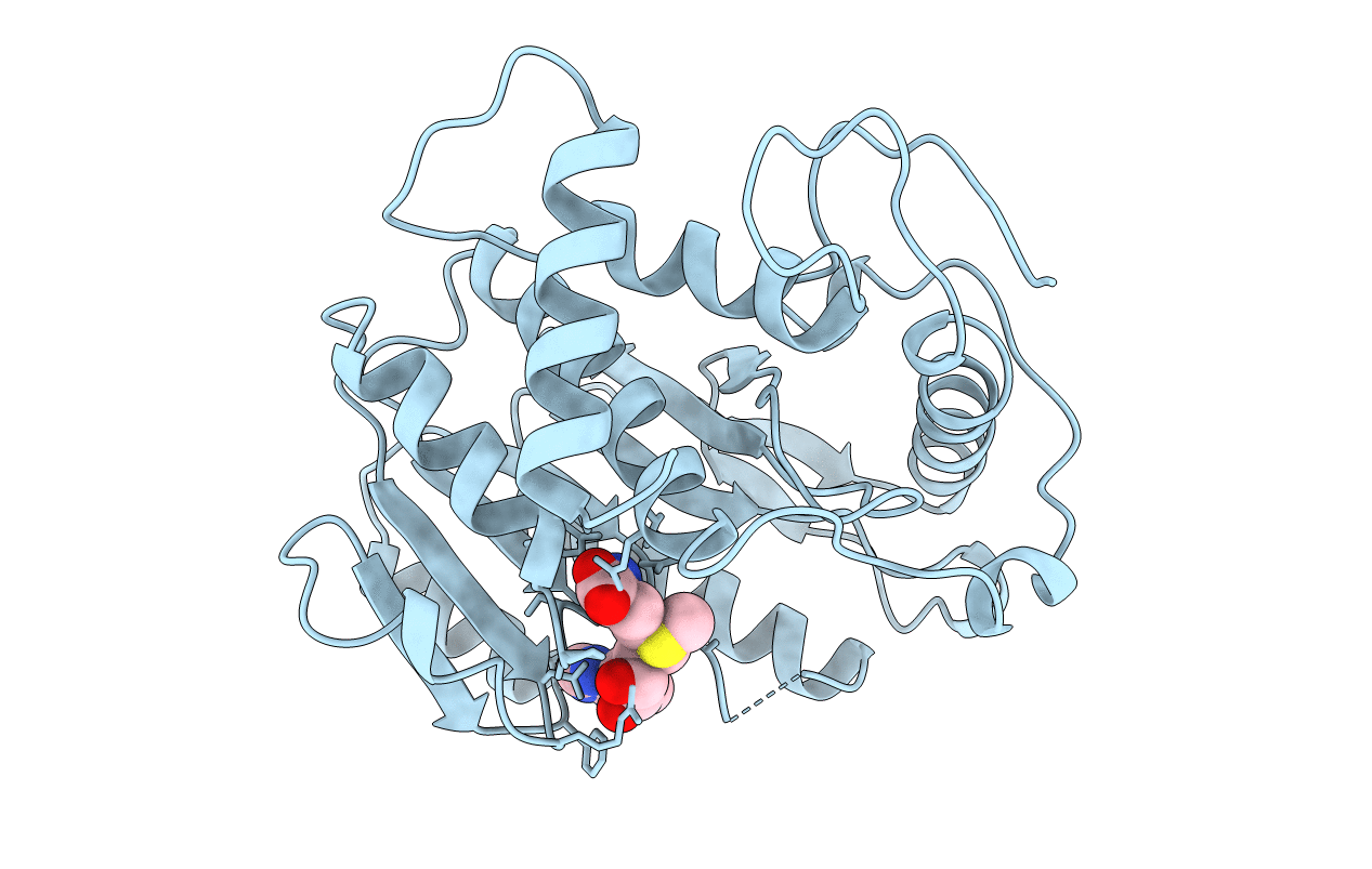 1VPT image