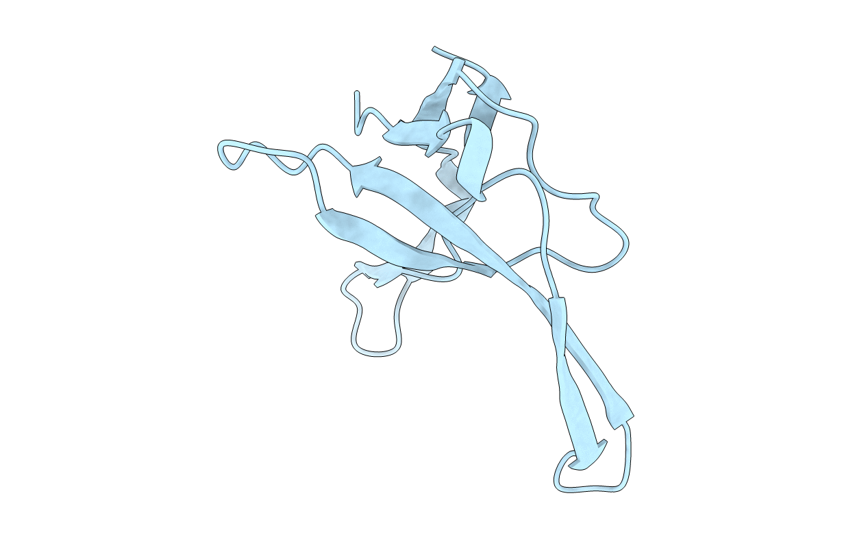 1VQA image