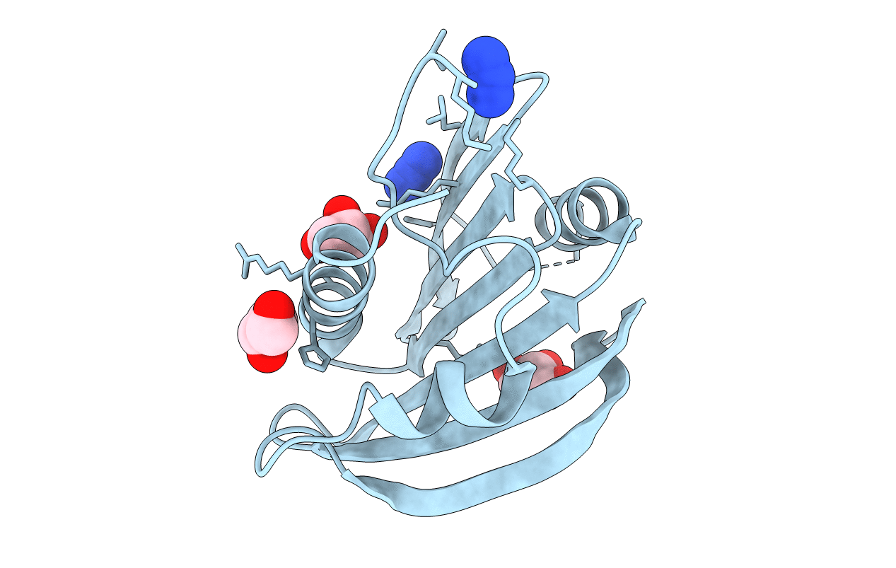 1VR8 image