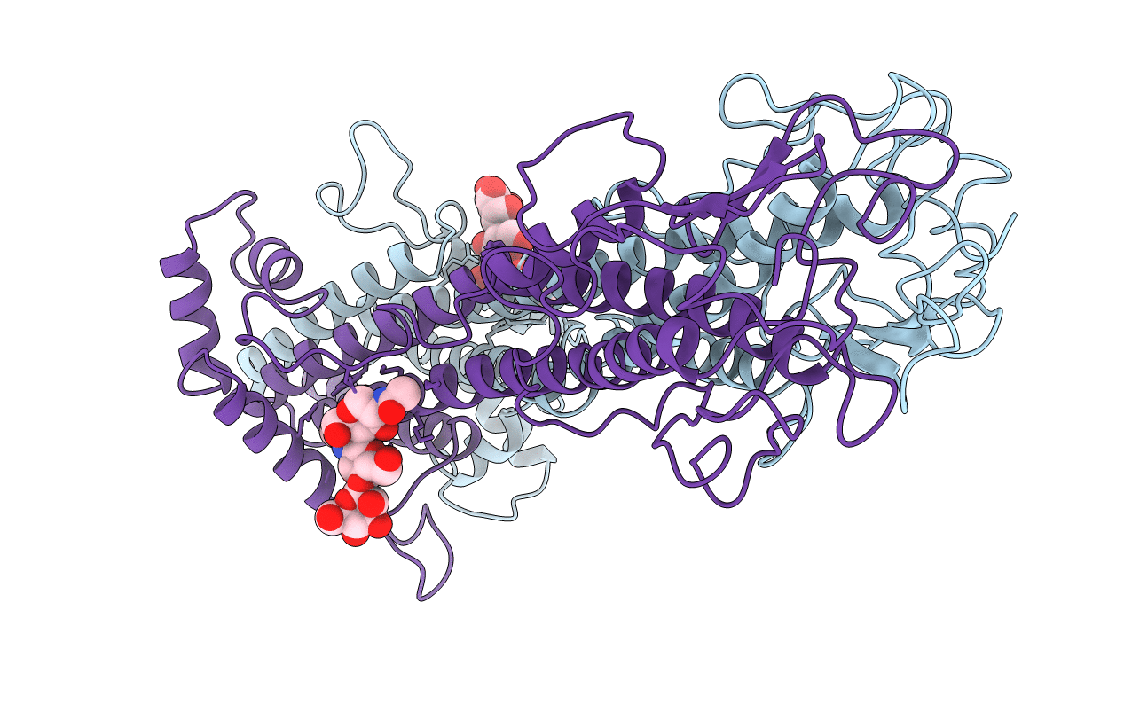 1VSG image