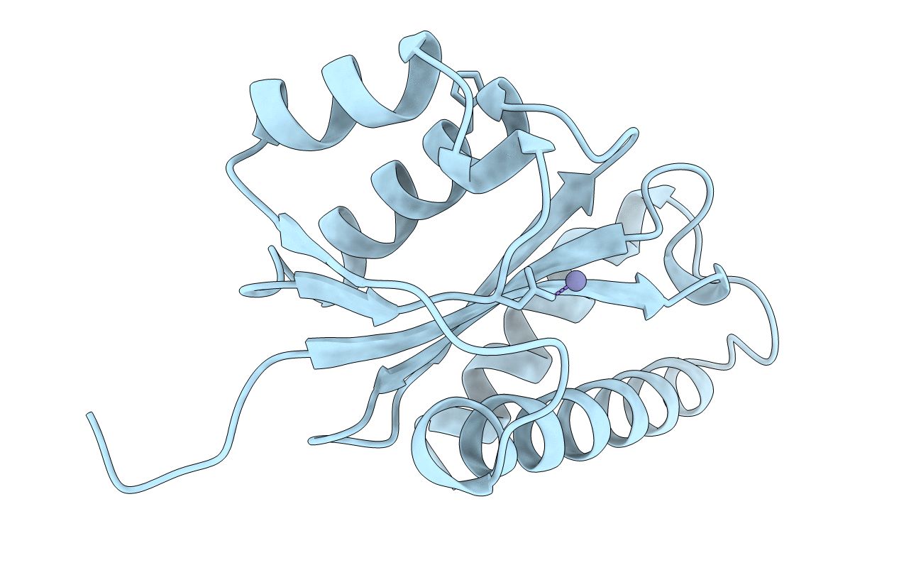 1VSL image
