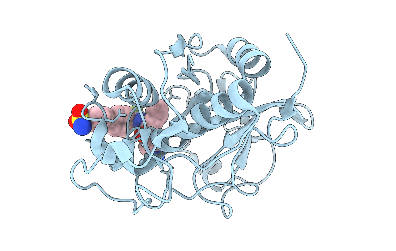 1VSN image
