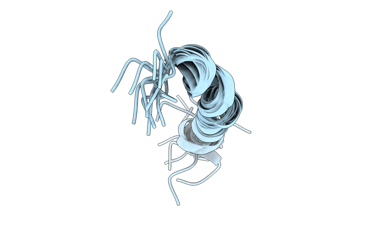 1VTP image