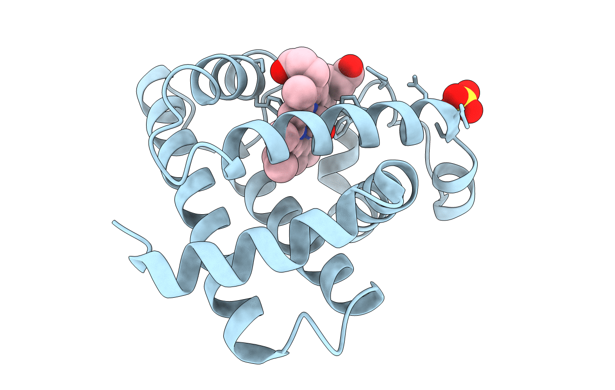 1VXF image
