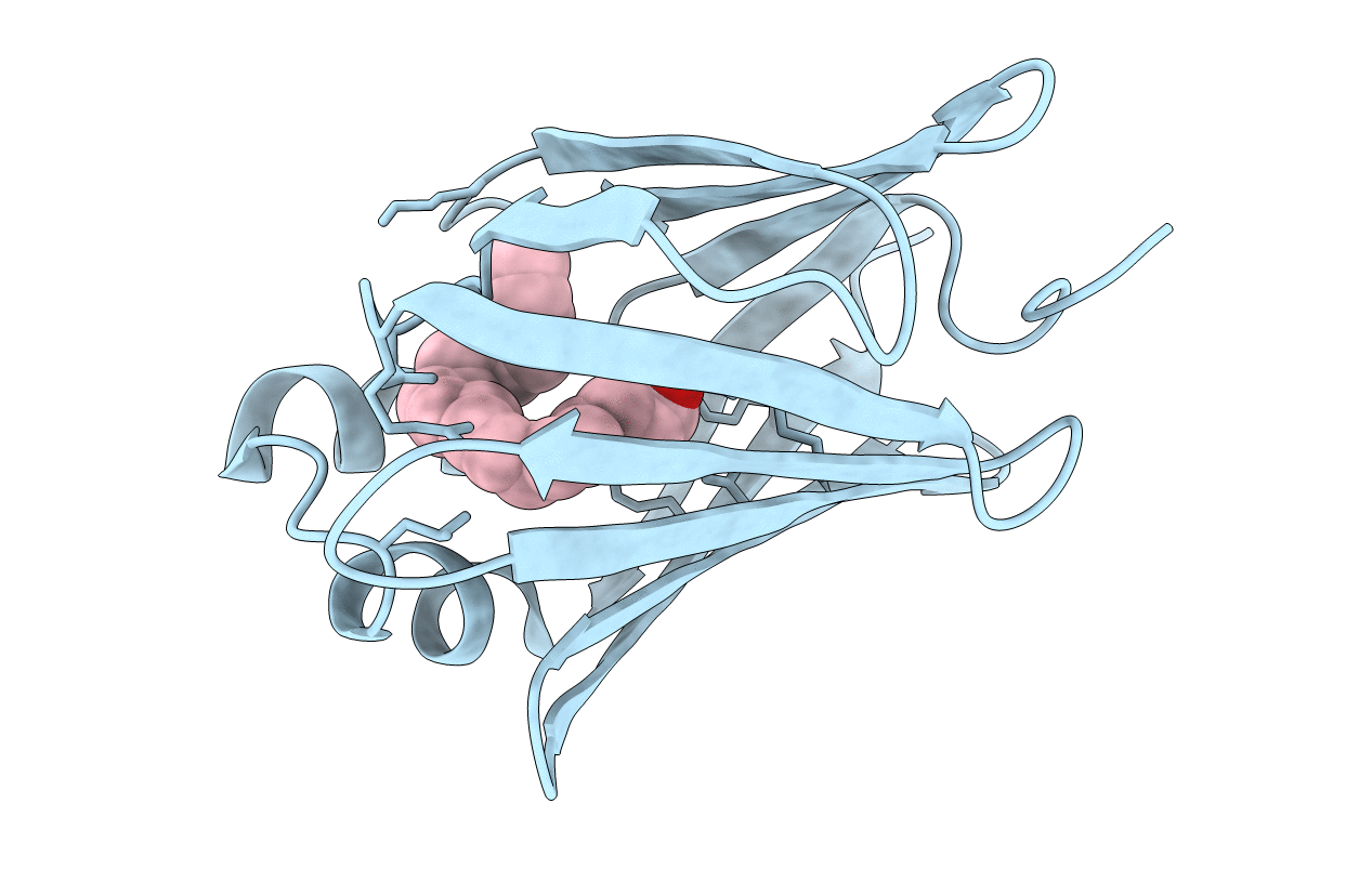 1VYG image