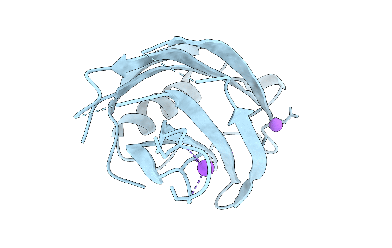 1W16 image