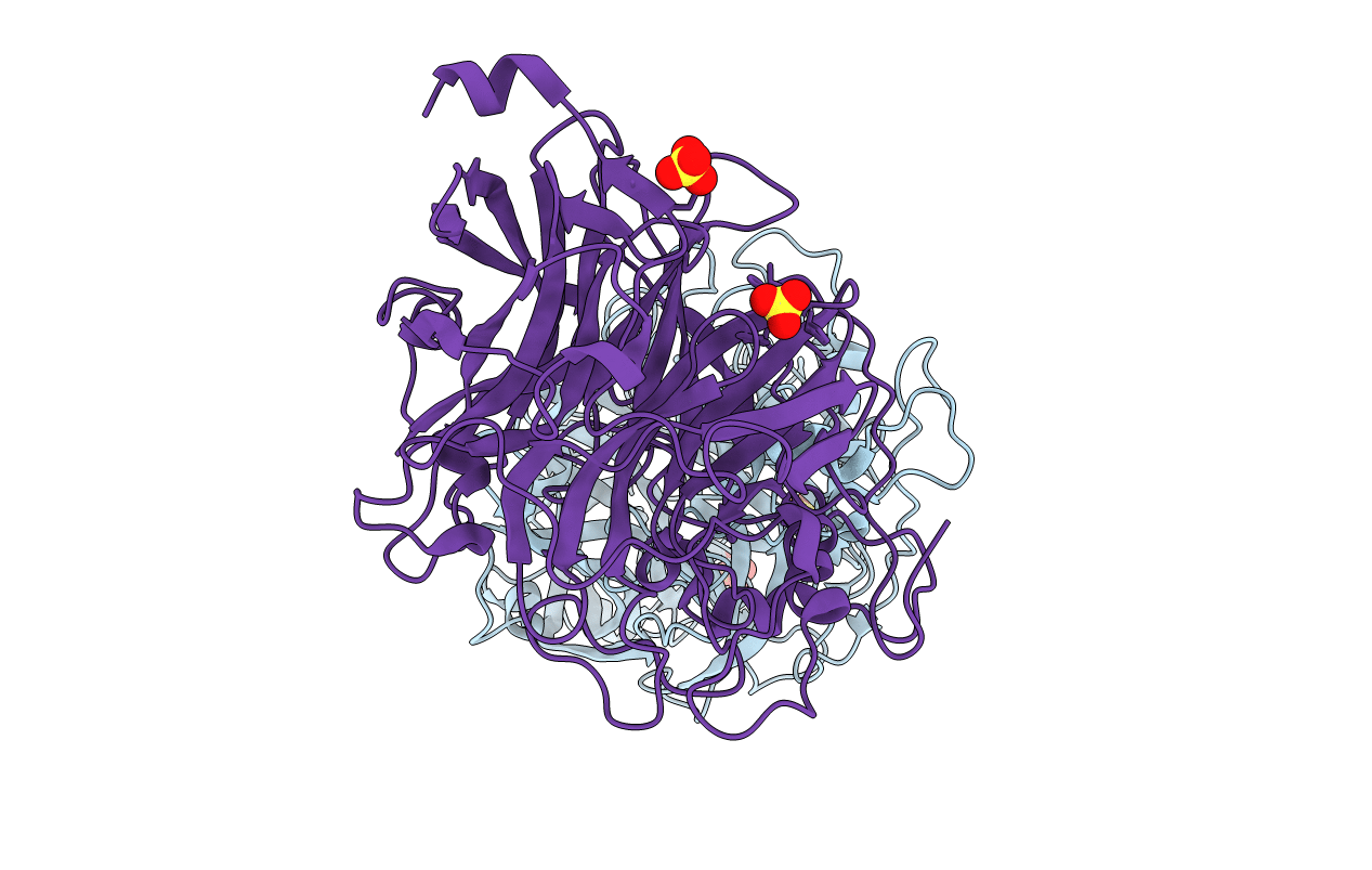 1W18 image