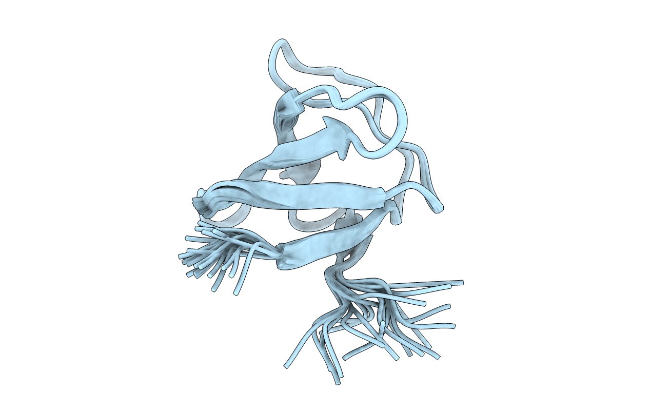 1W1F image