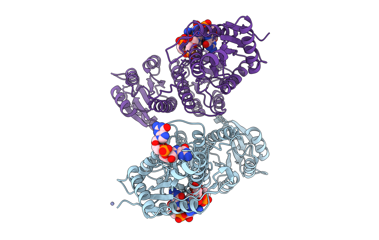 1W25 image