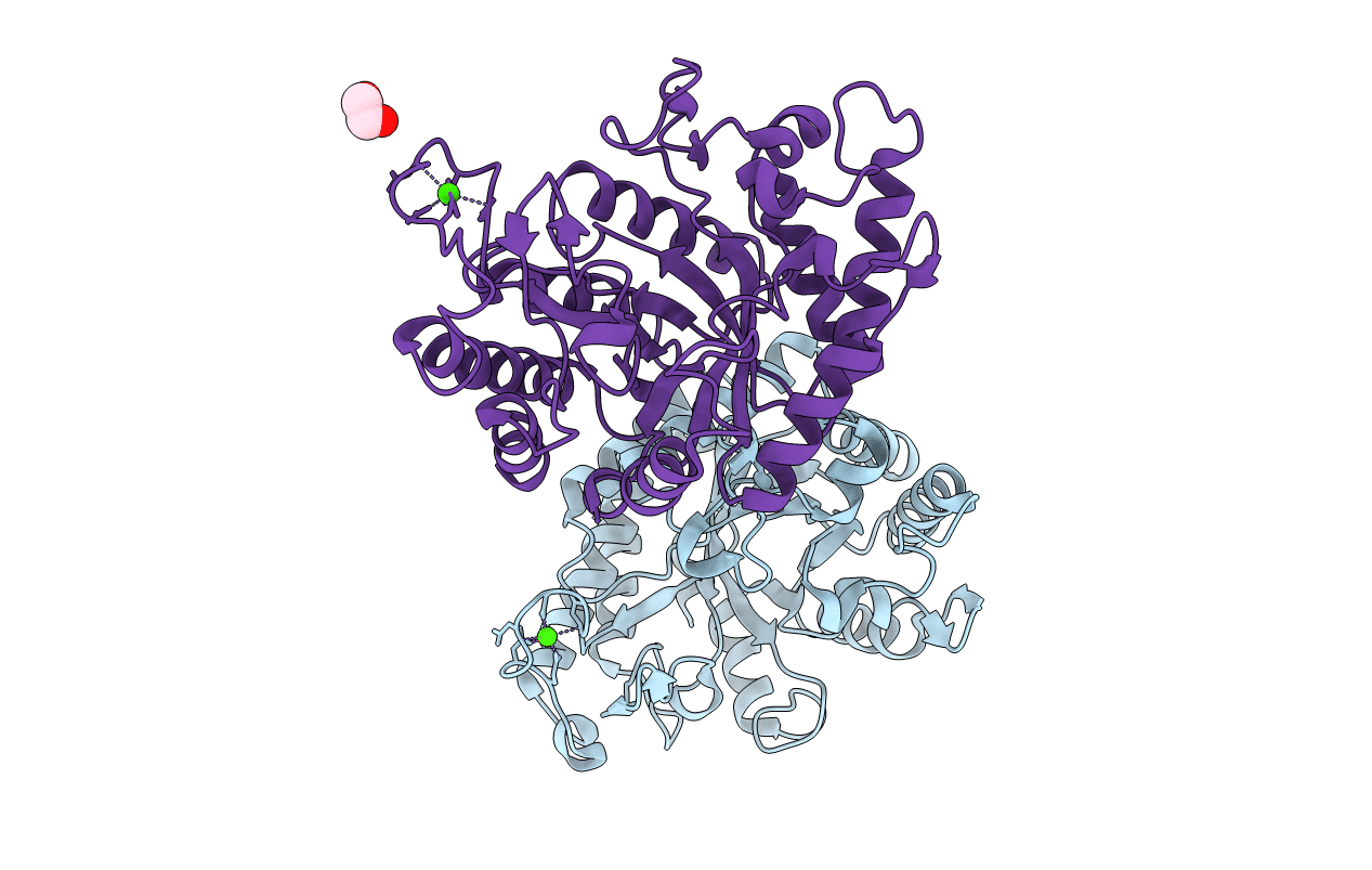 1W2V image