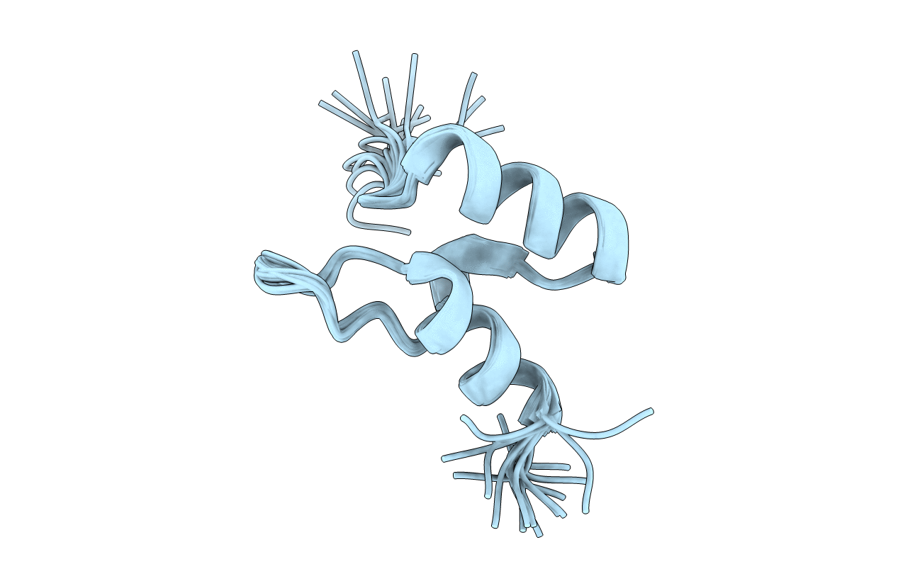 1W3D image