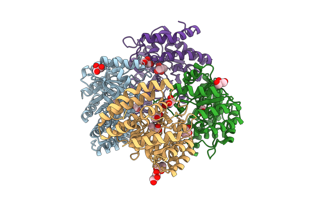 1W3I image