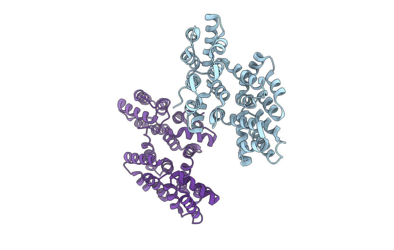 1W45 image