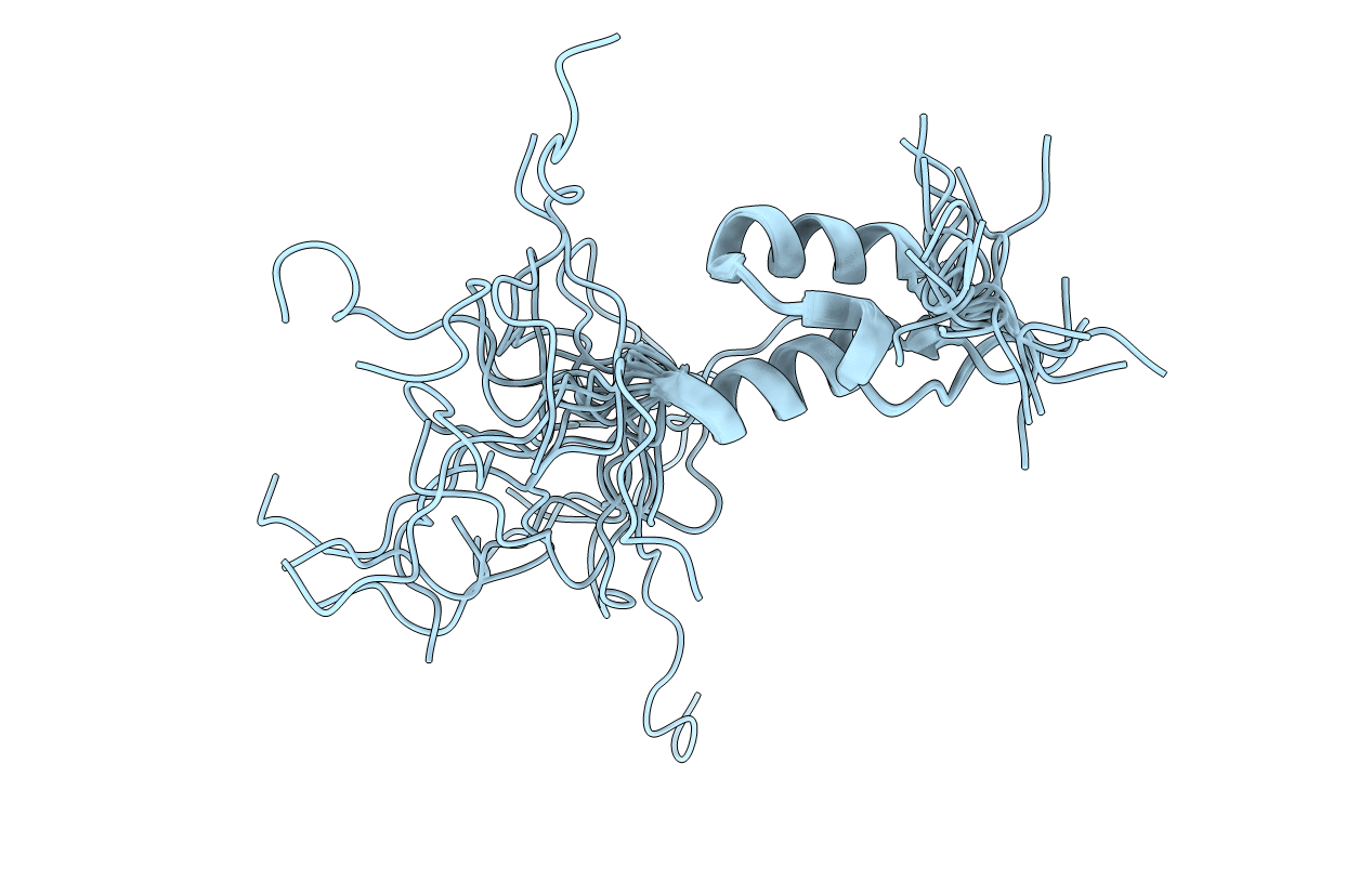 1W4I image