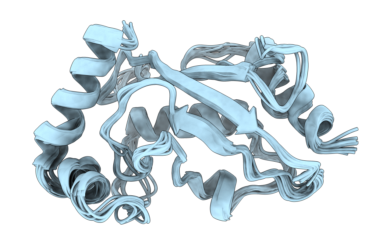 1W4U image