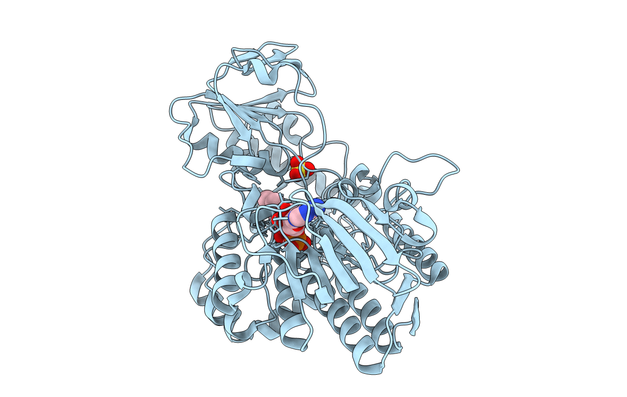 1W4X image