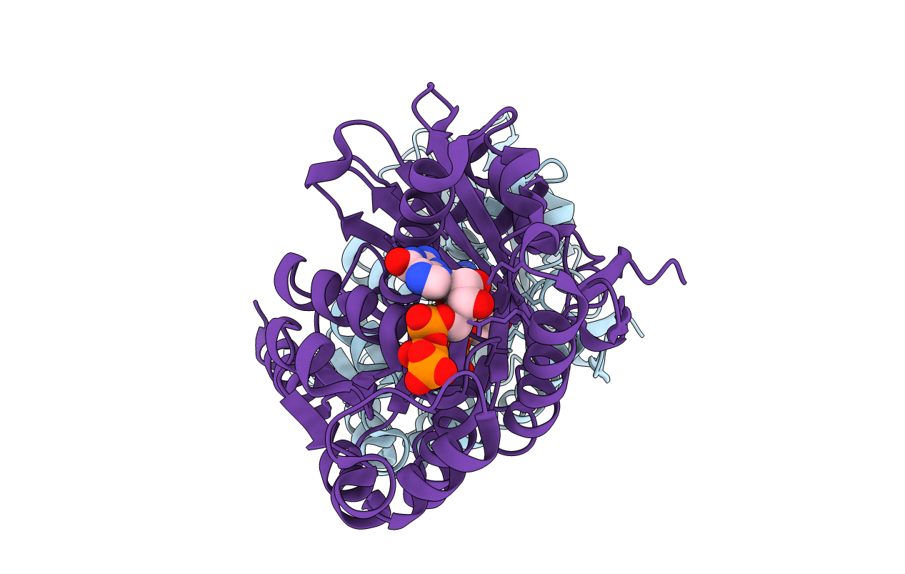 1W5B image