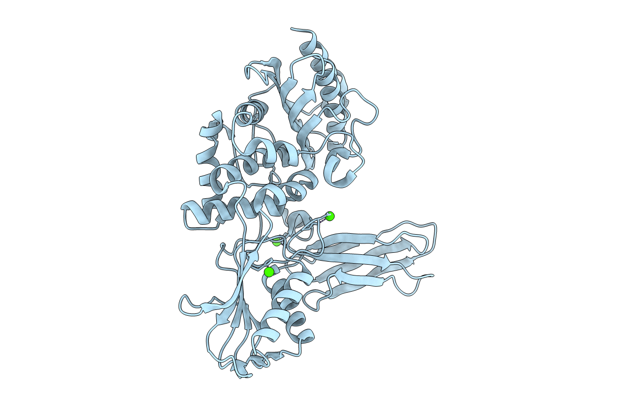 1W5D image