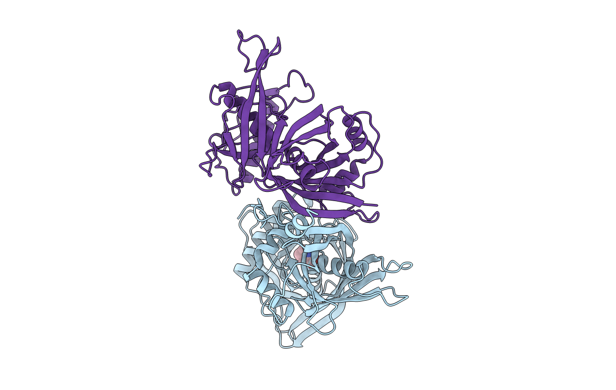 1W62 image