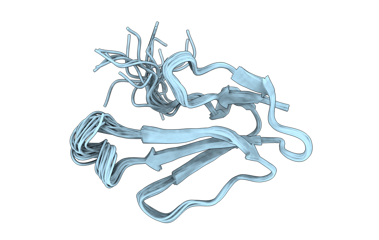 1W6B image