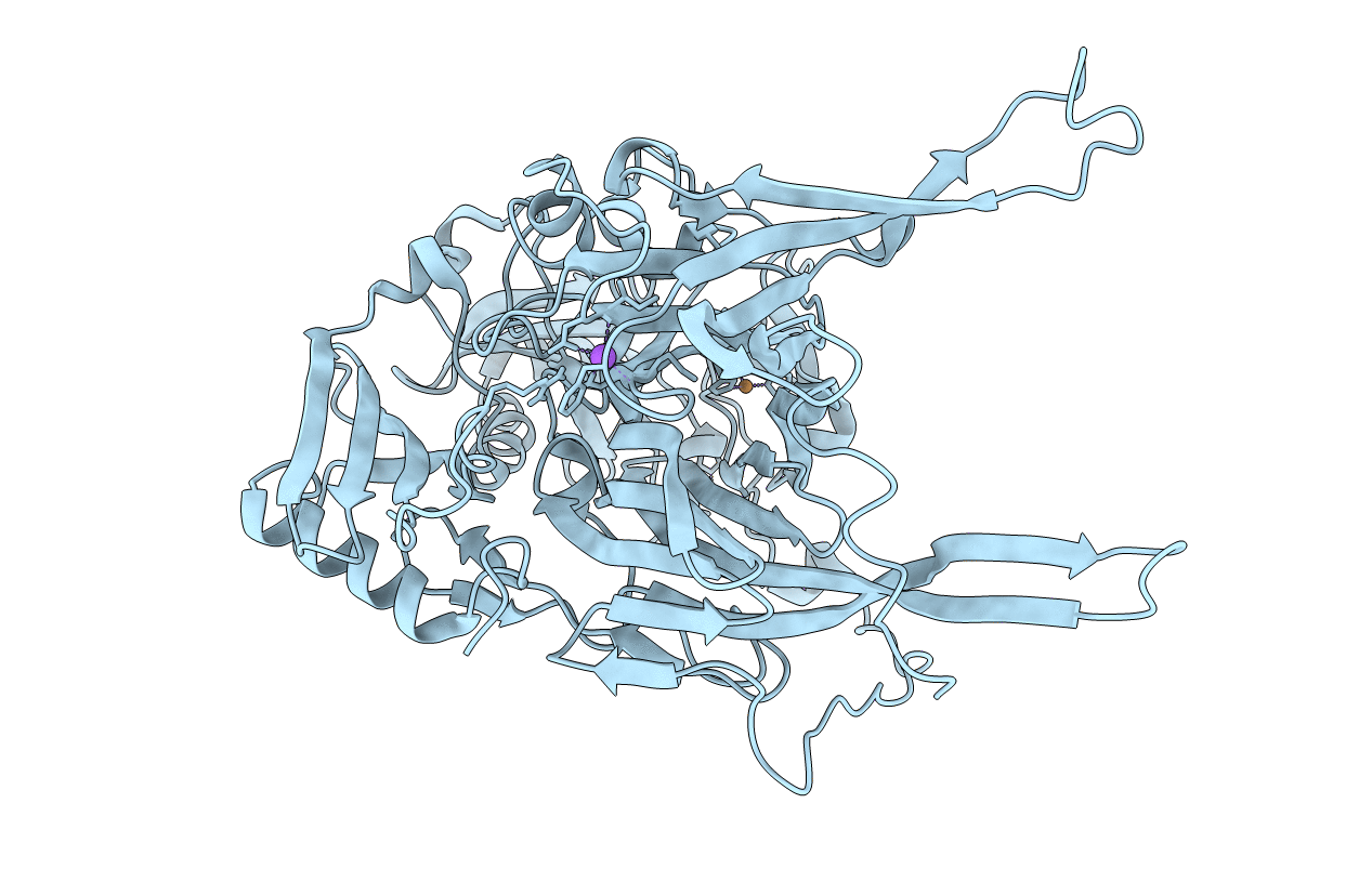 1W6C image