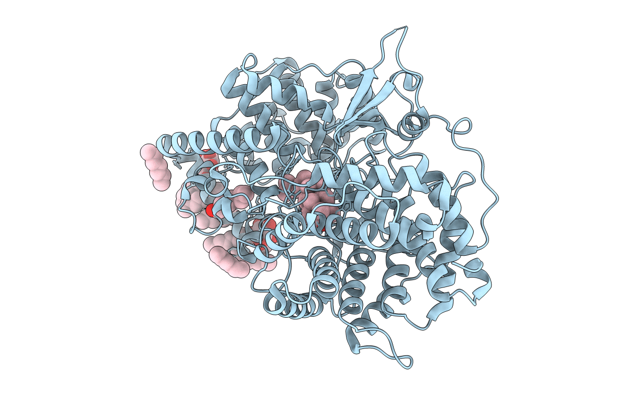 1W6K image