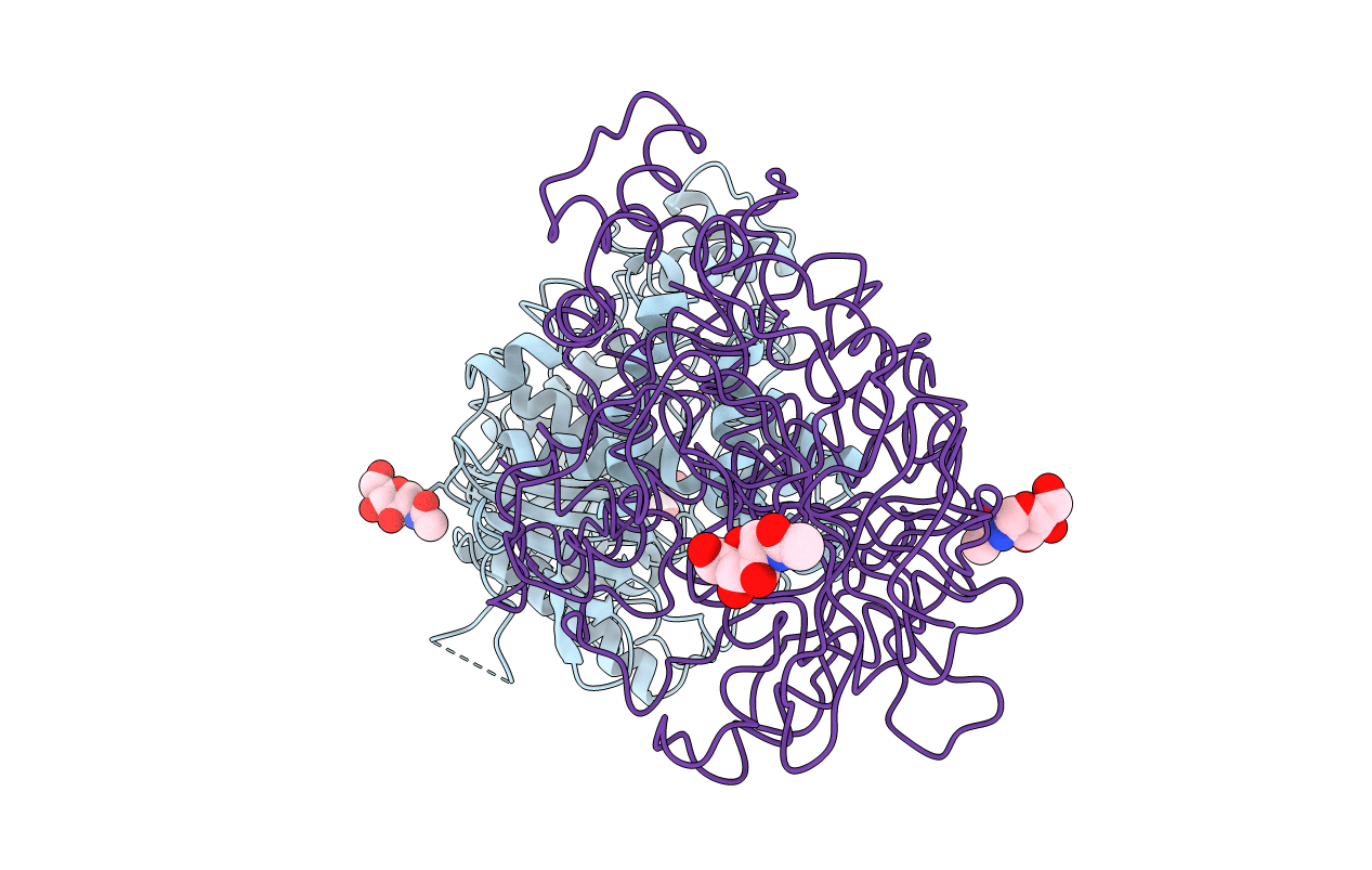 1W75 image