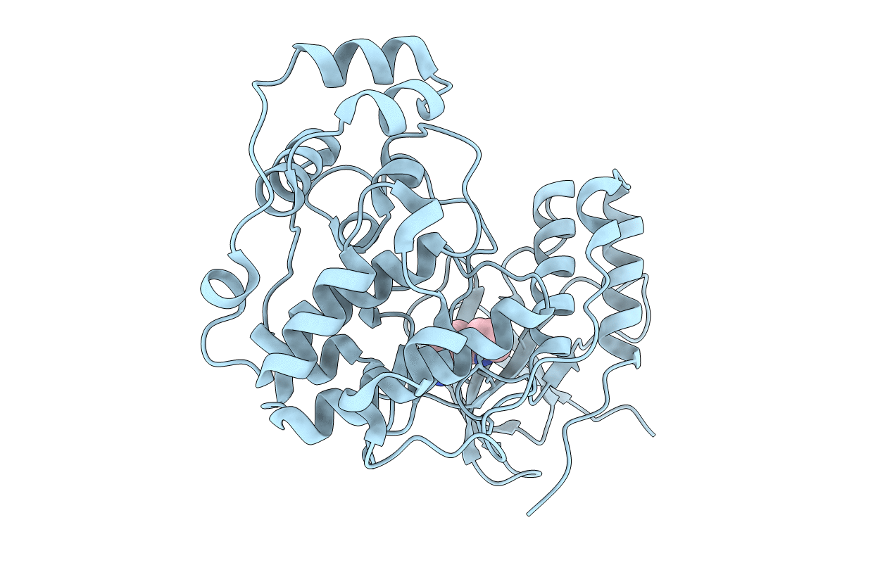 1W84 image