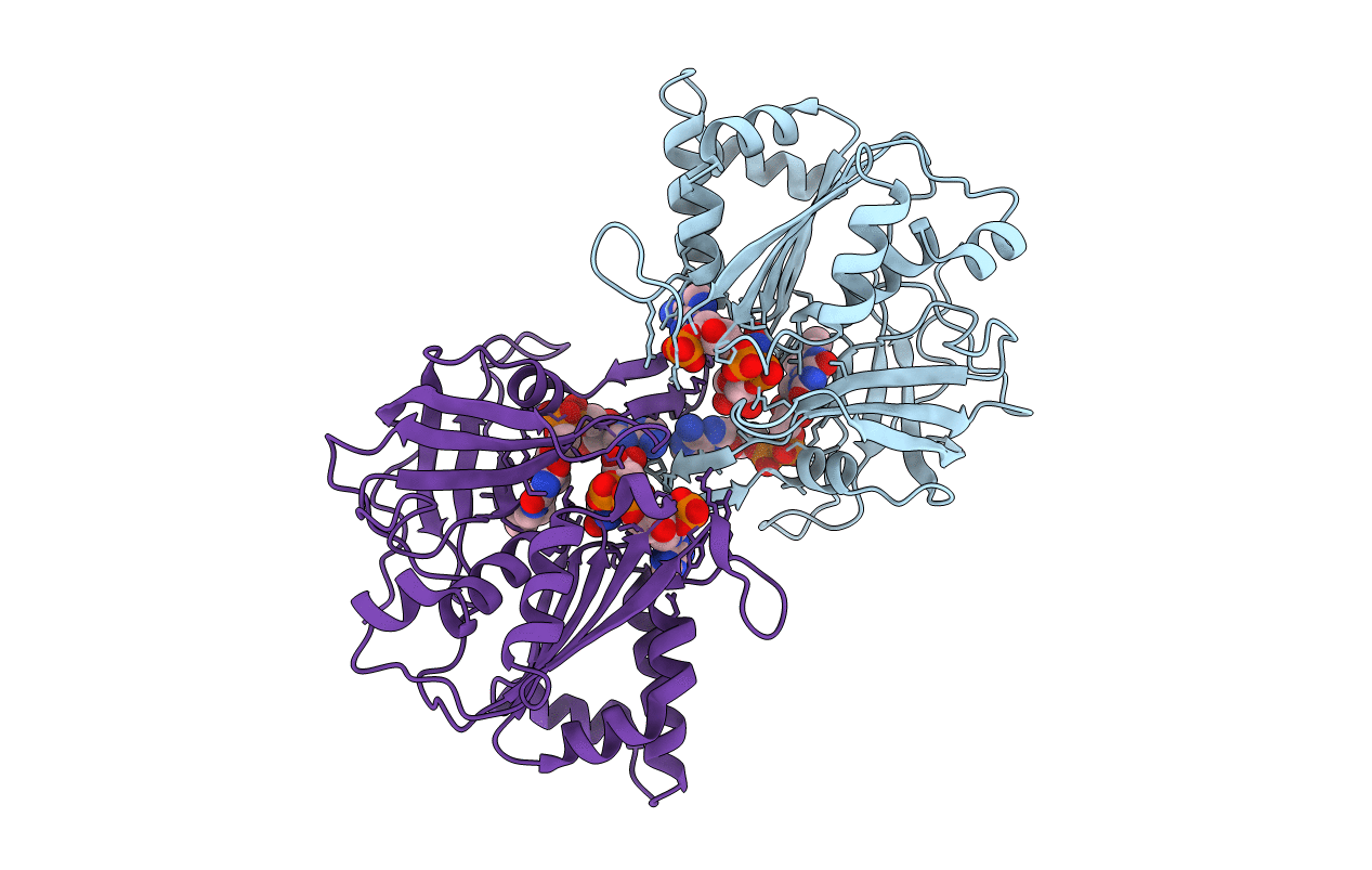 1W87 image