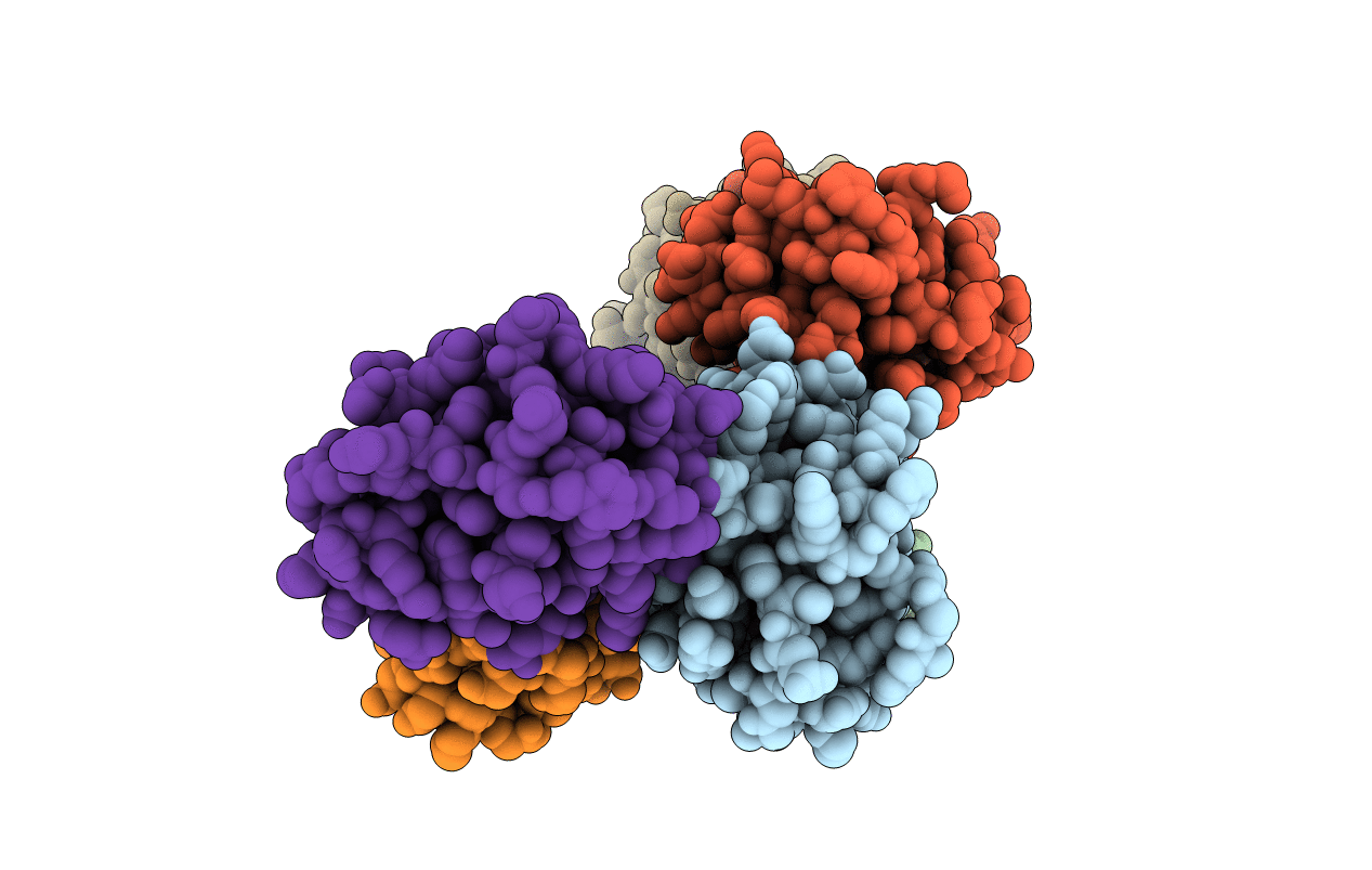1W89 image