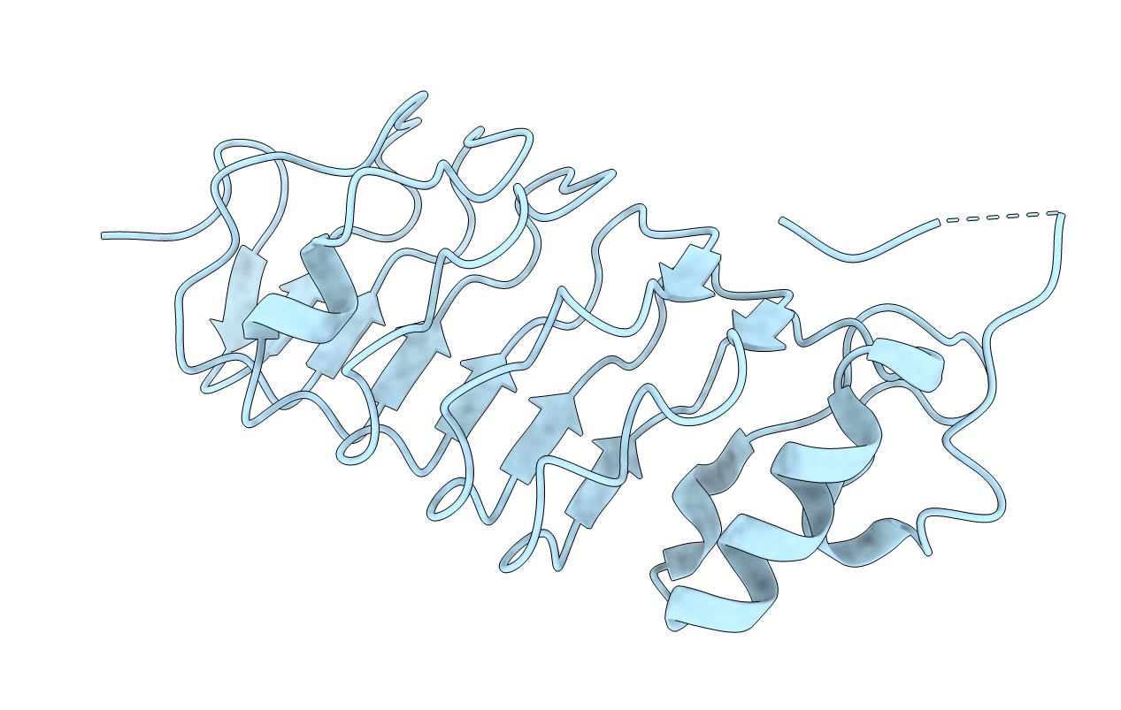 1W8A image