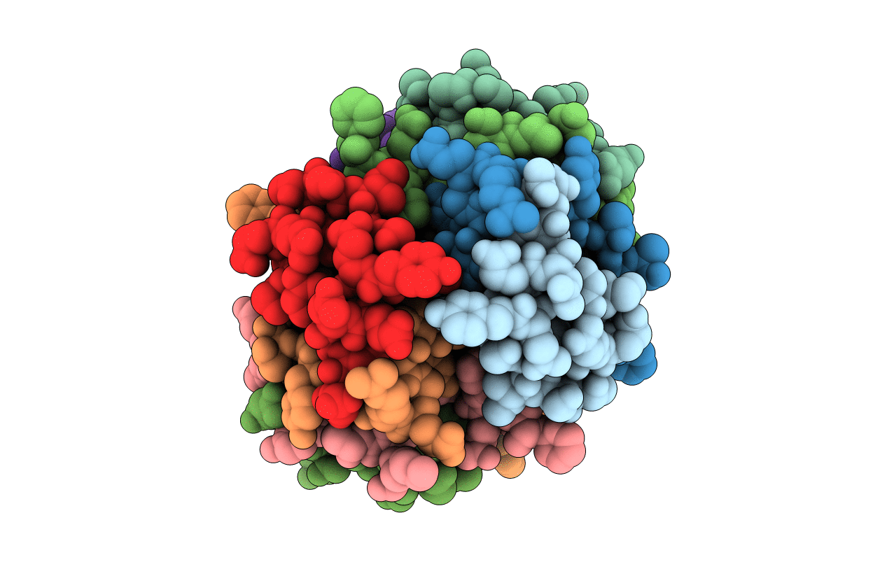 1W8P image