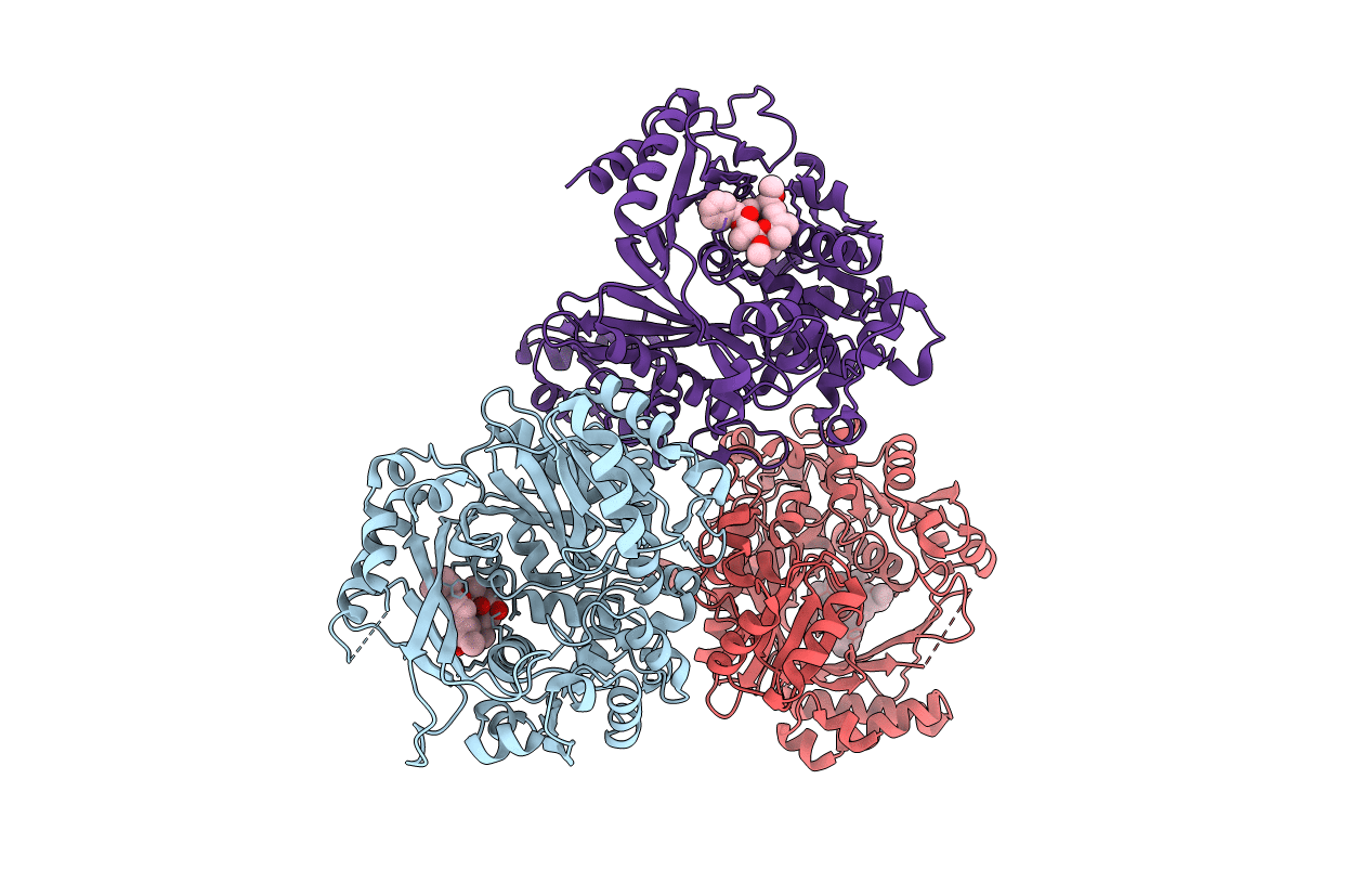 1w96 image