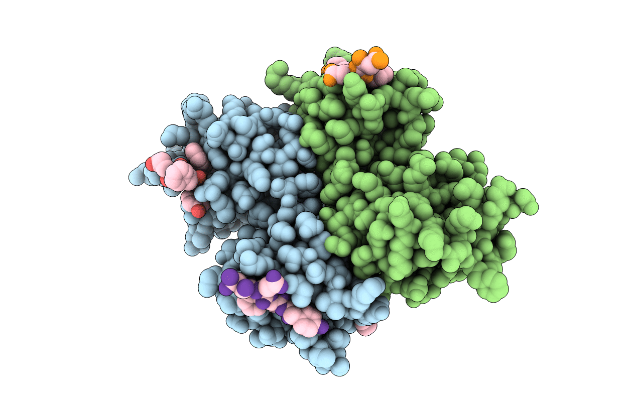 1W9E image