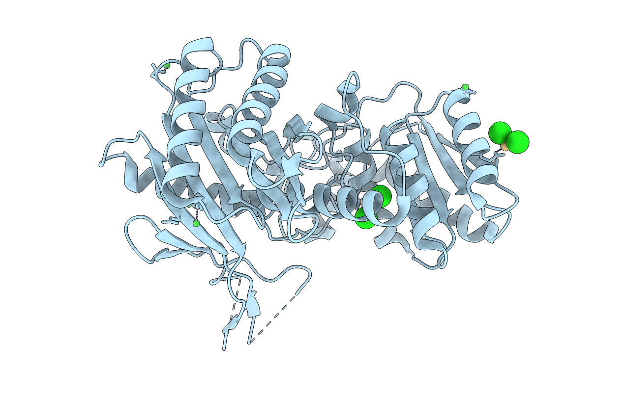1W9H image