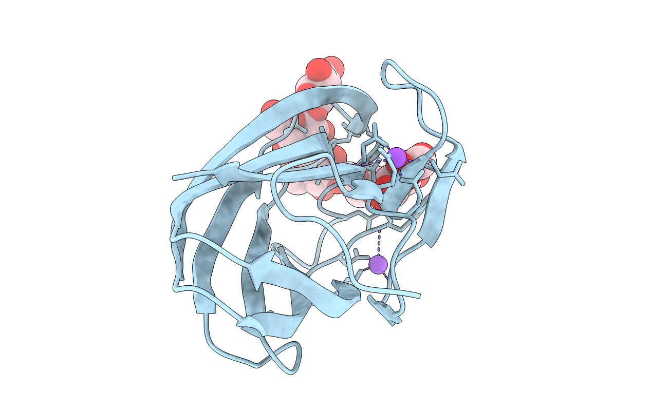 1W9W image