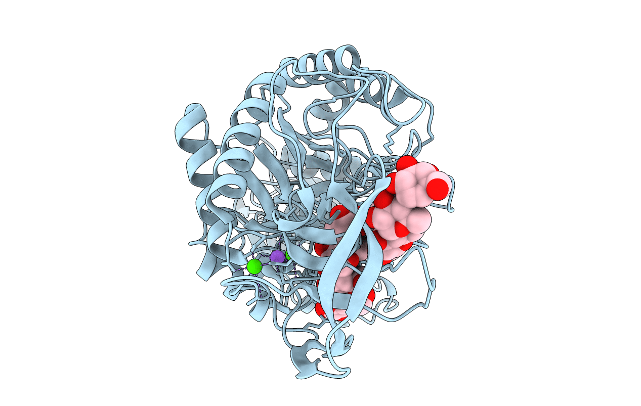 1W9X image
