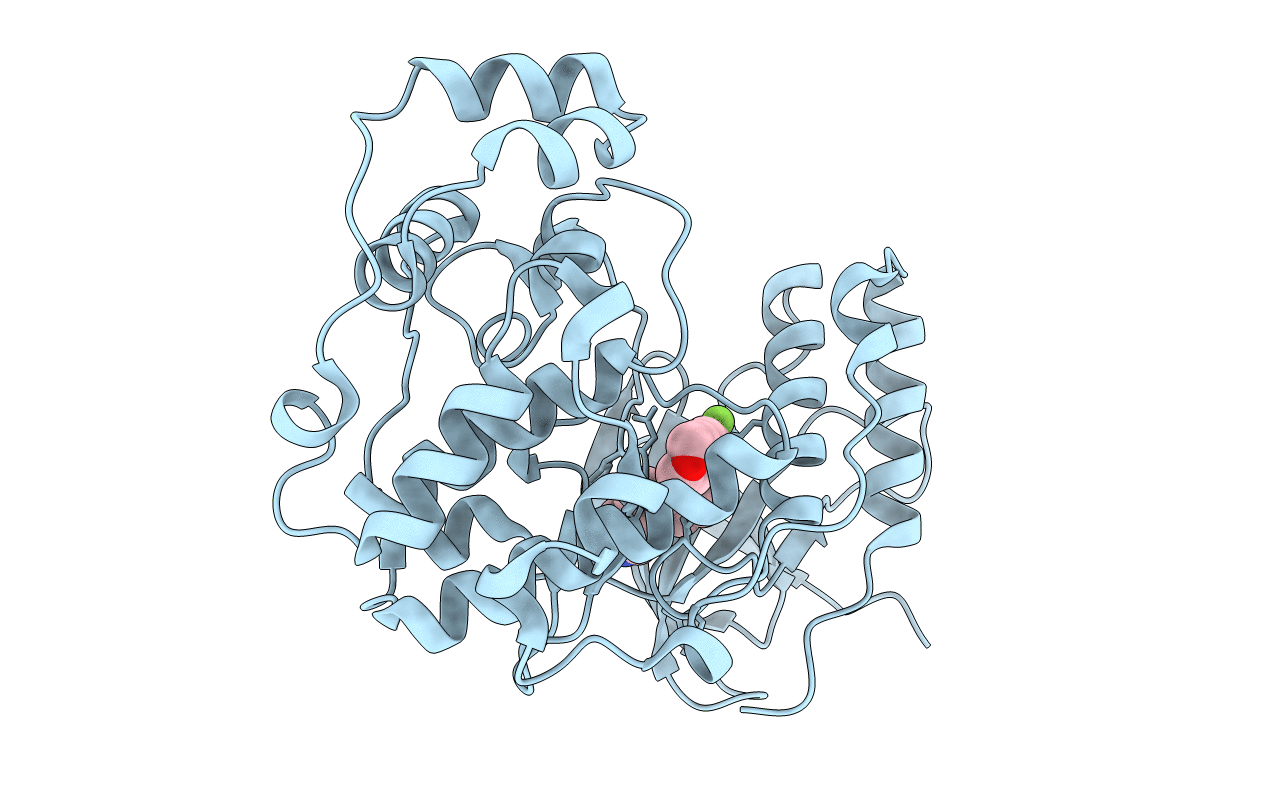 1WBT image