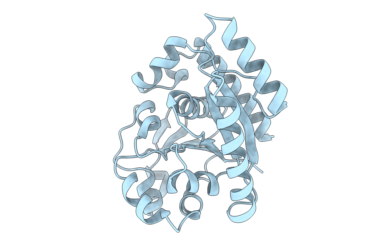 1WCV image