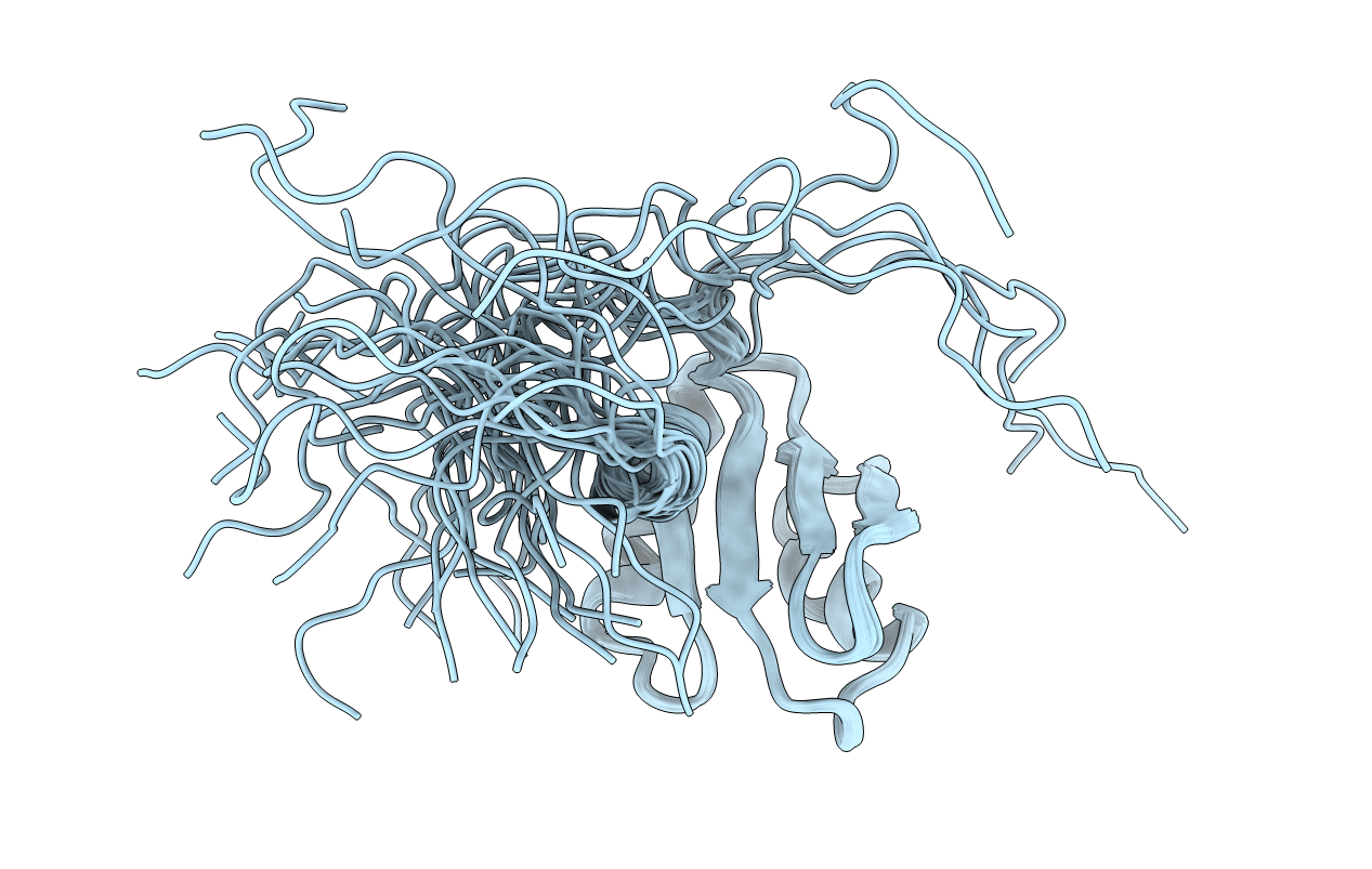 1WHV image