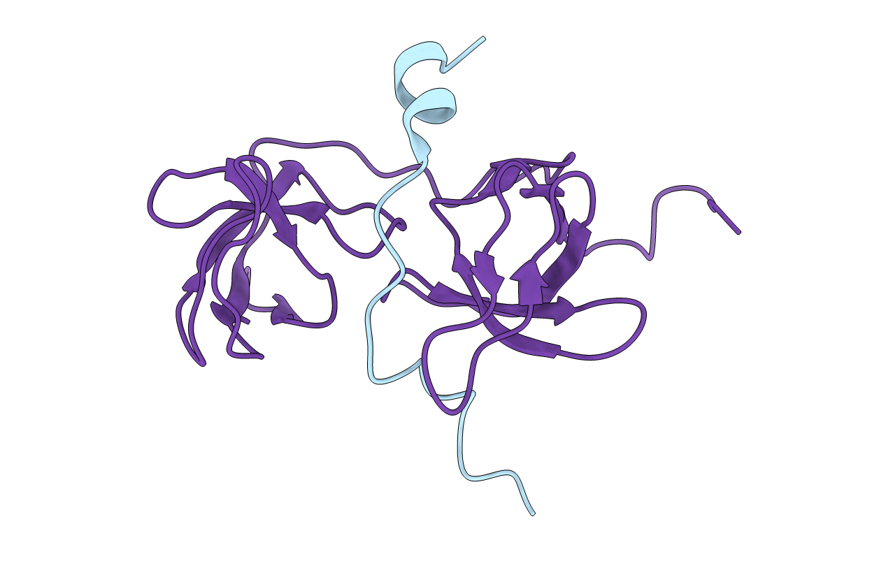 1WLP image