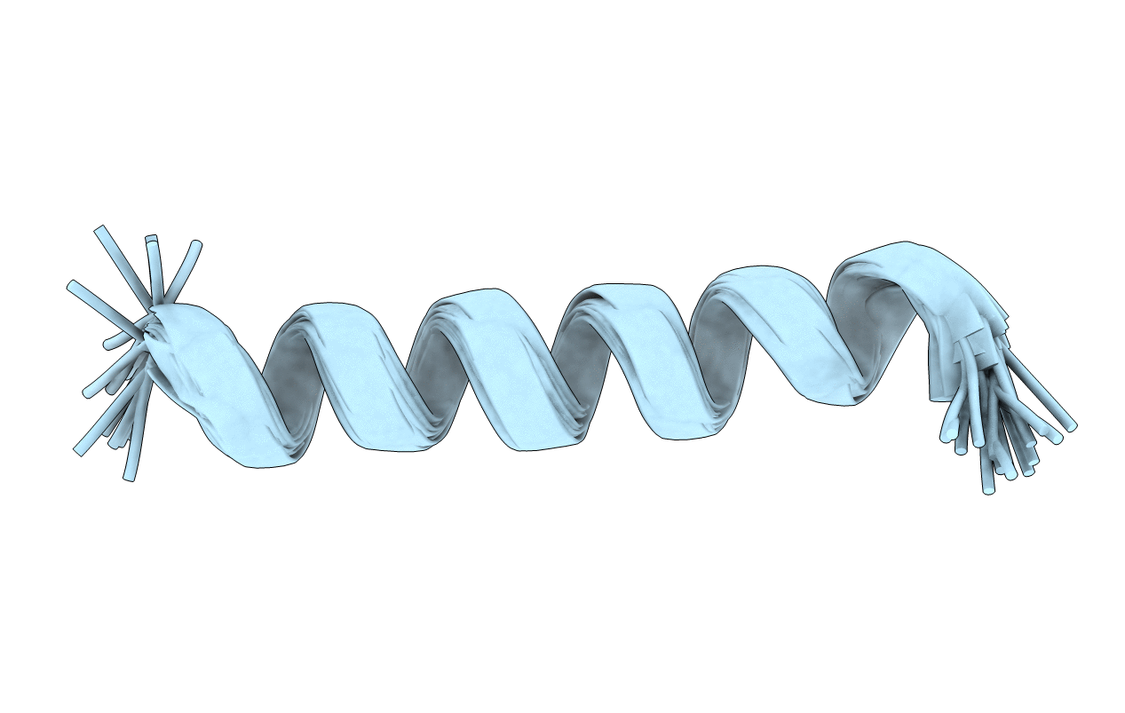 1WNM image