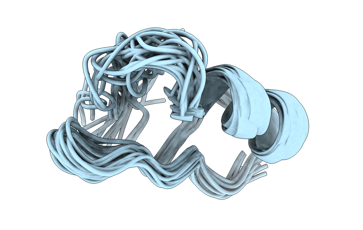 1WPD image