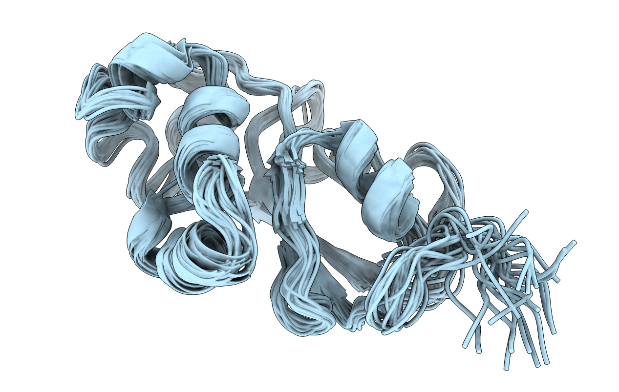 1WPI image