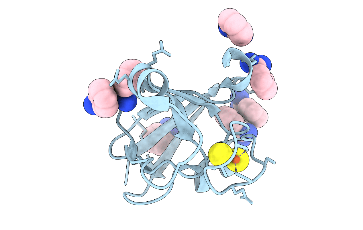 1WRI image