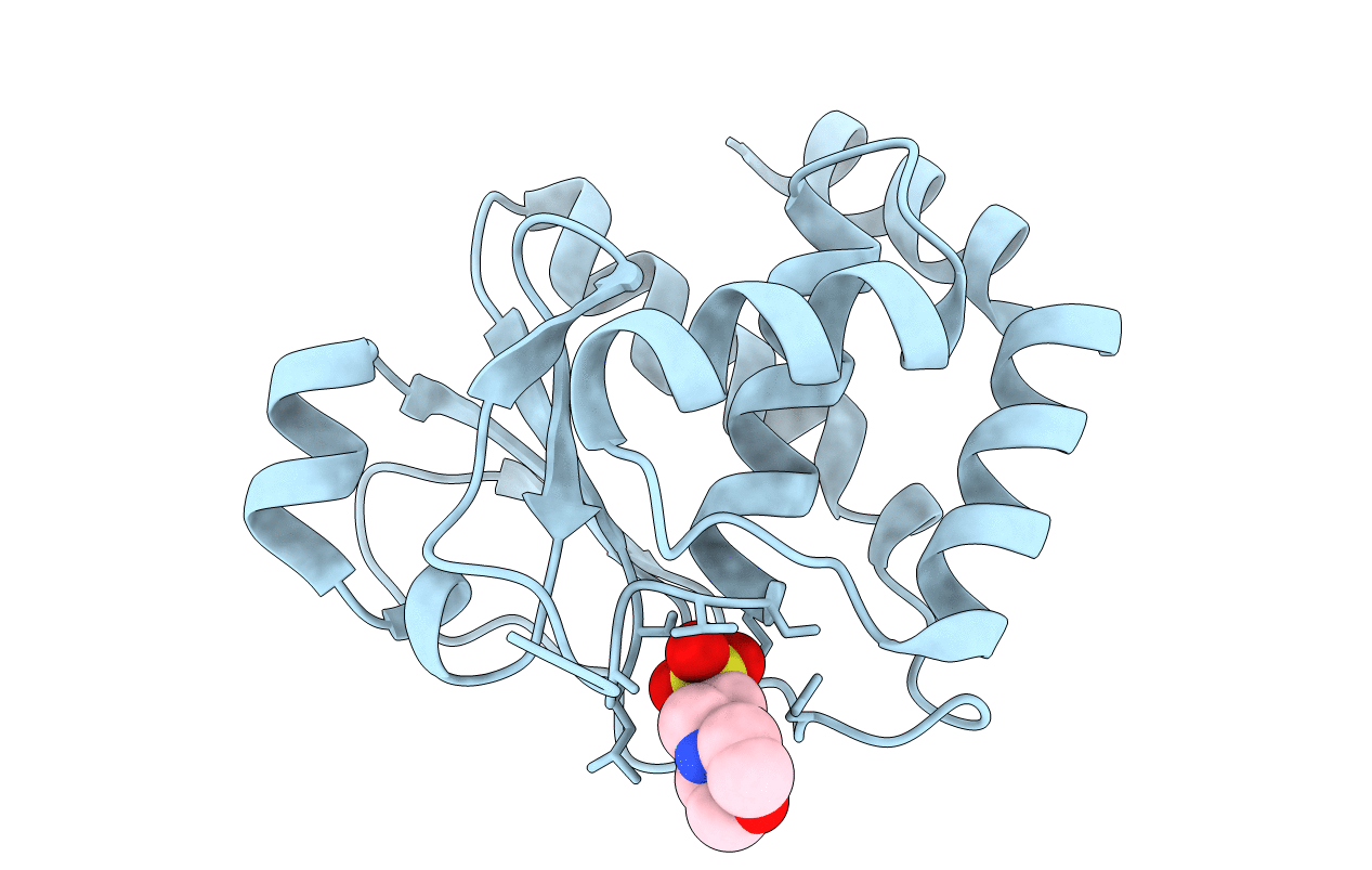 1WRM image