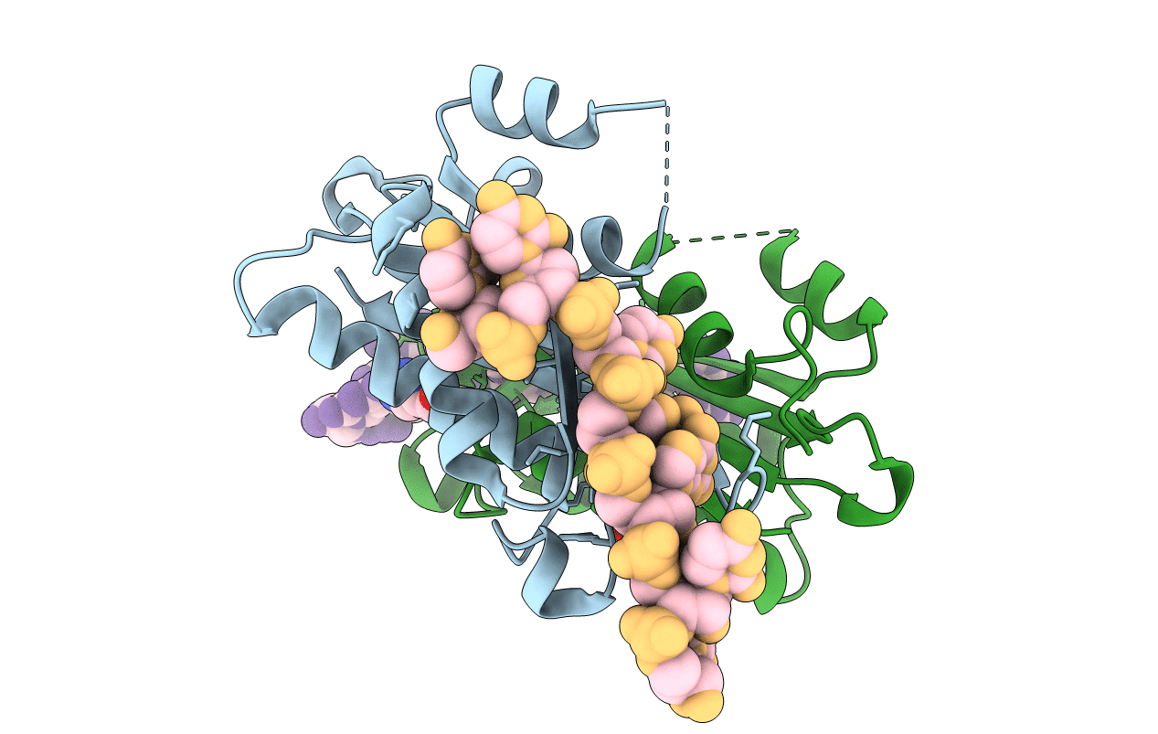 1WRQ image