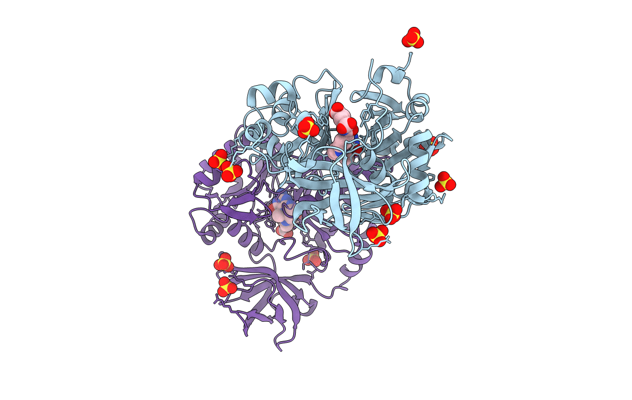 1WSV image