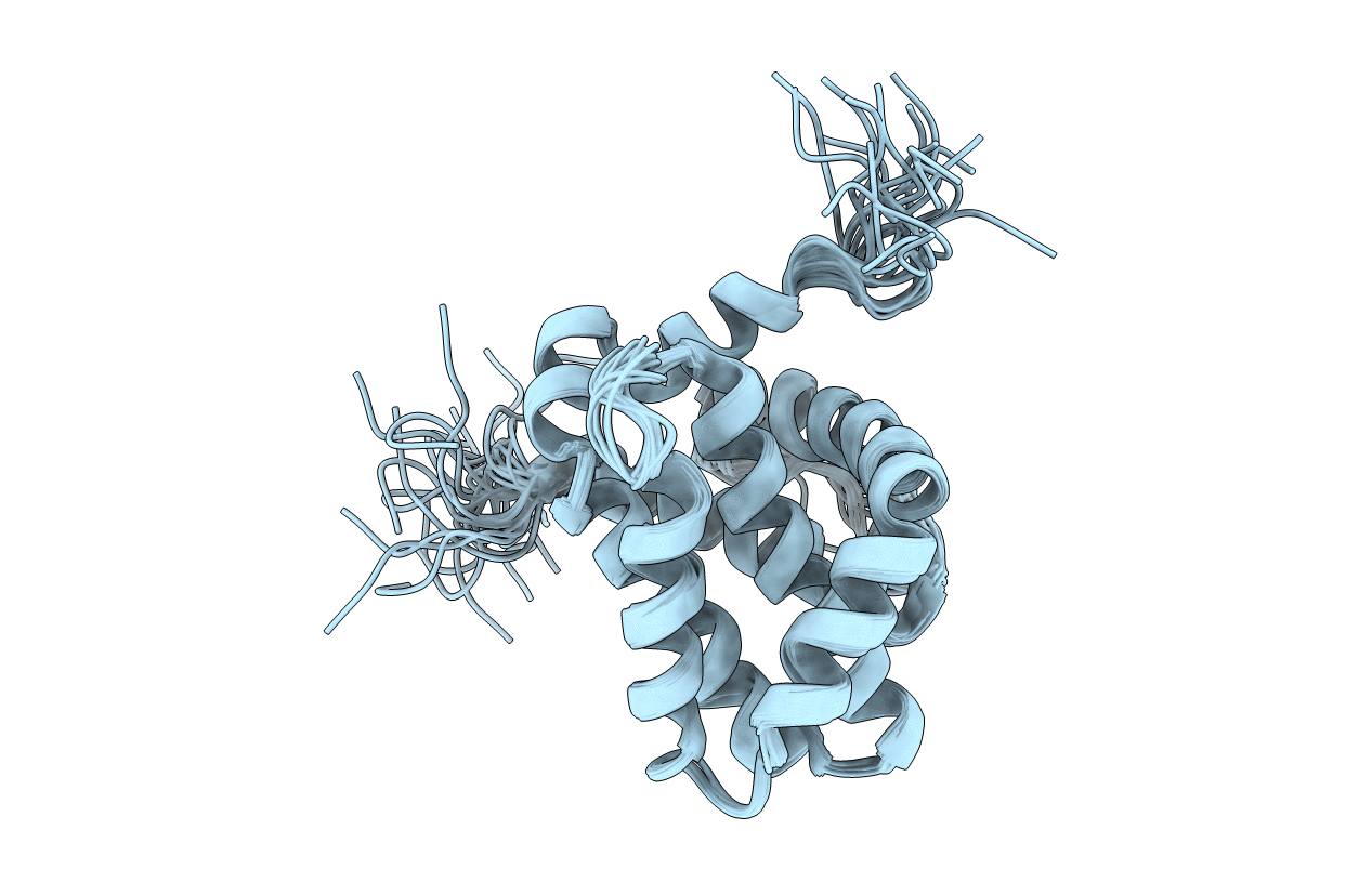 1WSX image