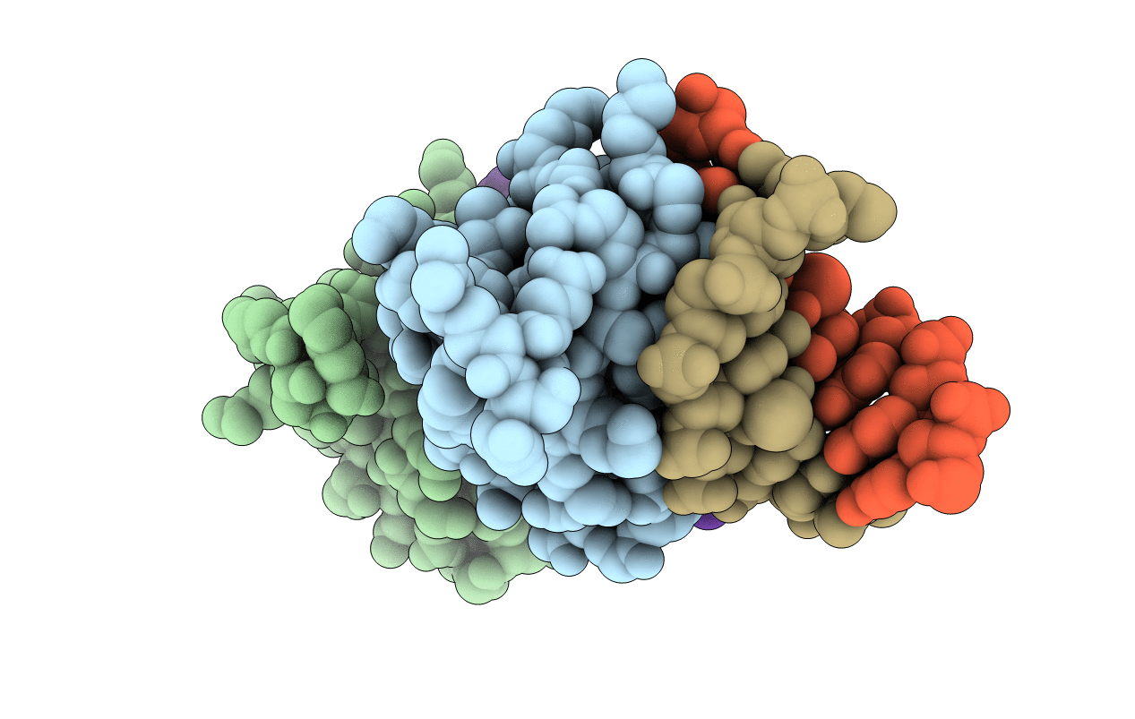 1WTP image